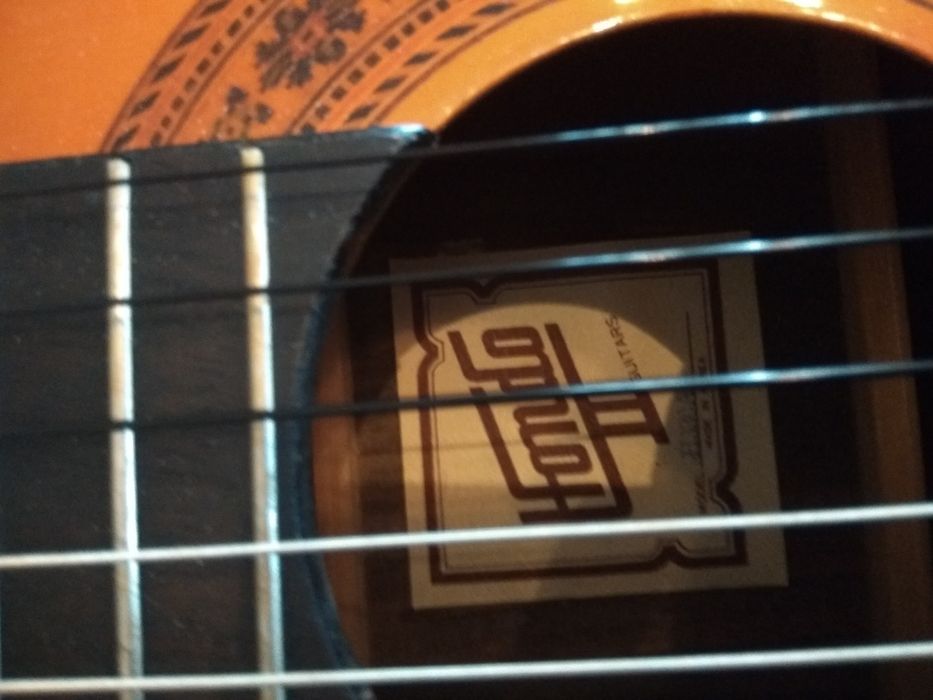 Guitarra profissional de concerto