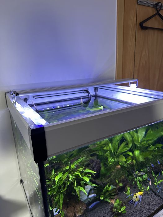 Aquario Completo Cubo 60x60x60