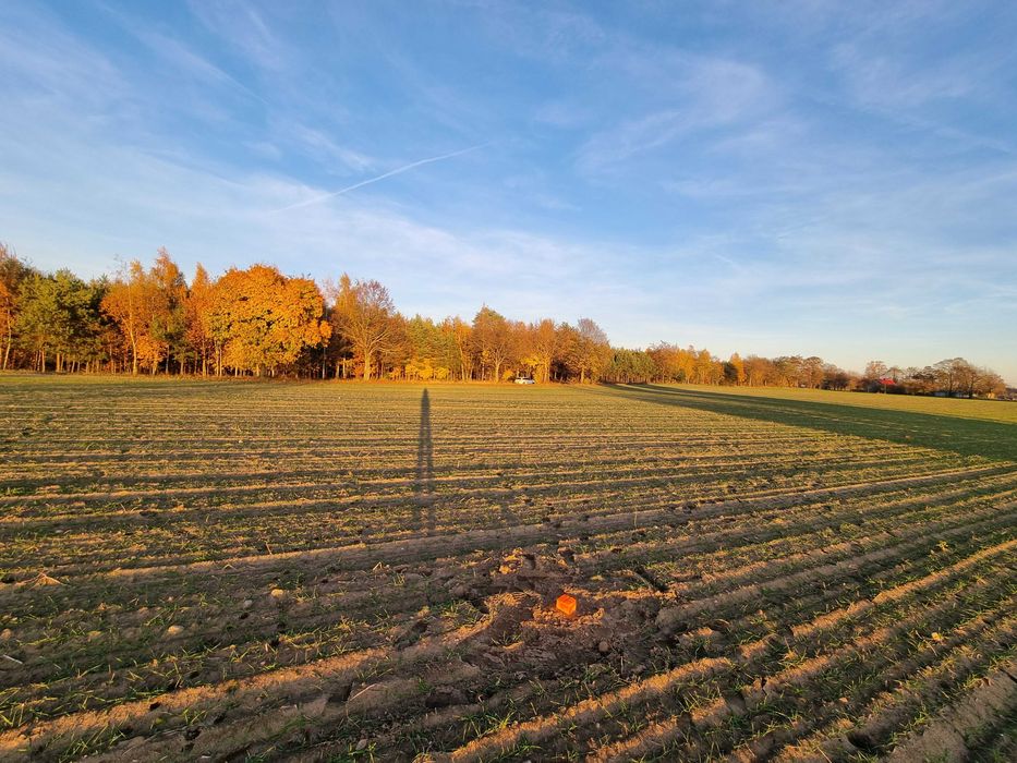 Sprzedam działki budowlane z warunkami zabudowy w Bardzie - View 4