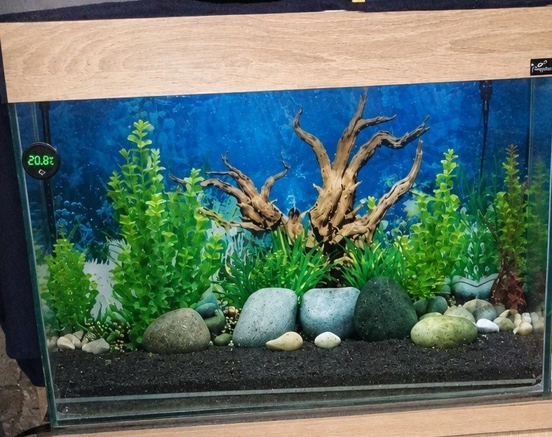 Akwarium 126L Opti White 10 mm + szafka + 3x Aquael LED