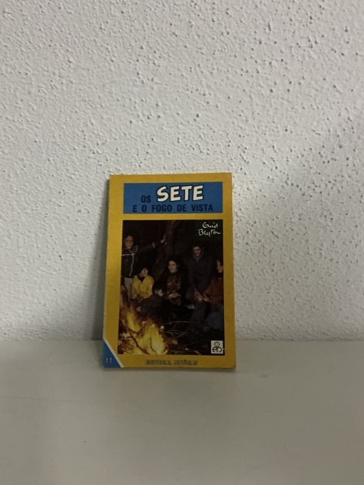 Livro Os Sete e o fogo de vista