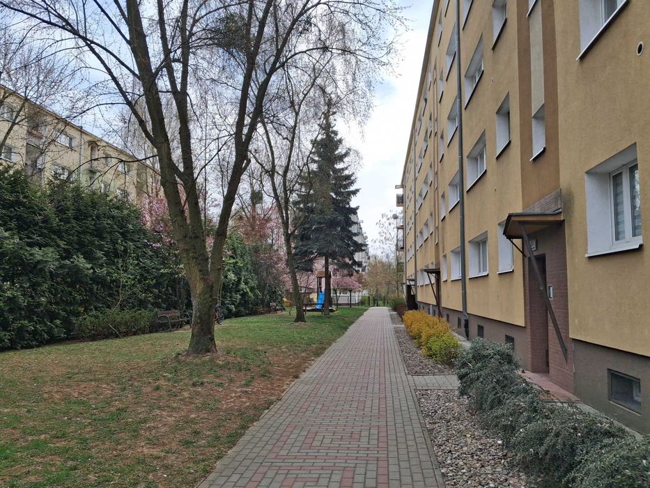 Mieszkanie 3 pokojowe , 1 piętro , możliwość dodatkowych mebli