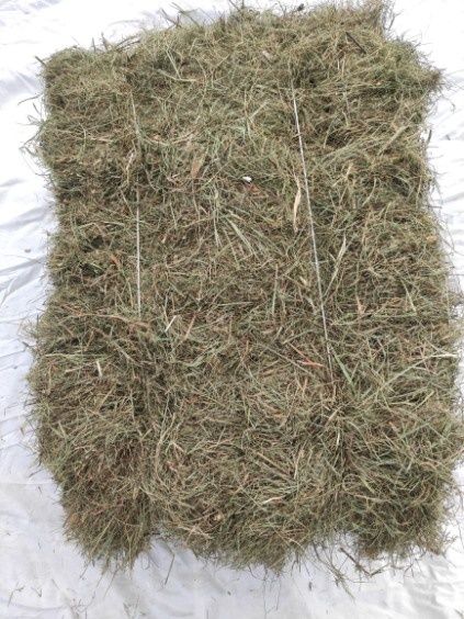 Siano, potraw w kostkach