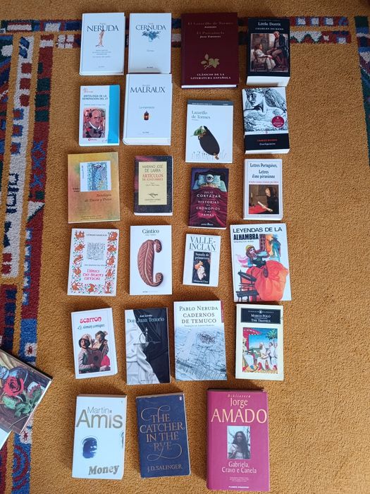 Livros de Ficção/Poesia (portes grátis)