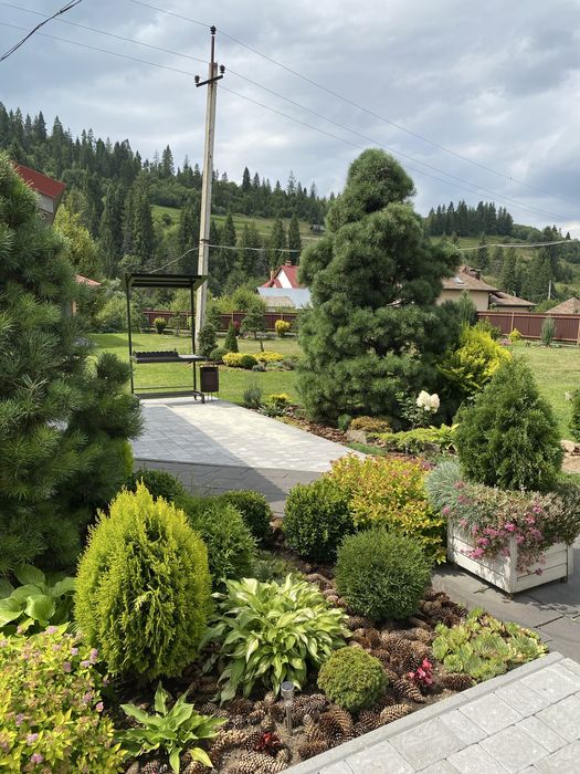 Відпочинок в Карпатах#Волосянка(Славсько)житло#будинок без господарів