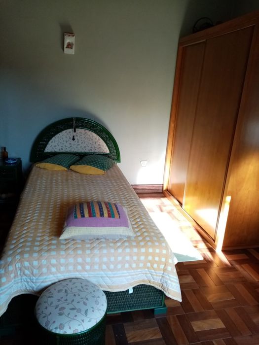 Cama de bambu verde
