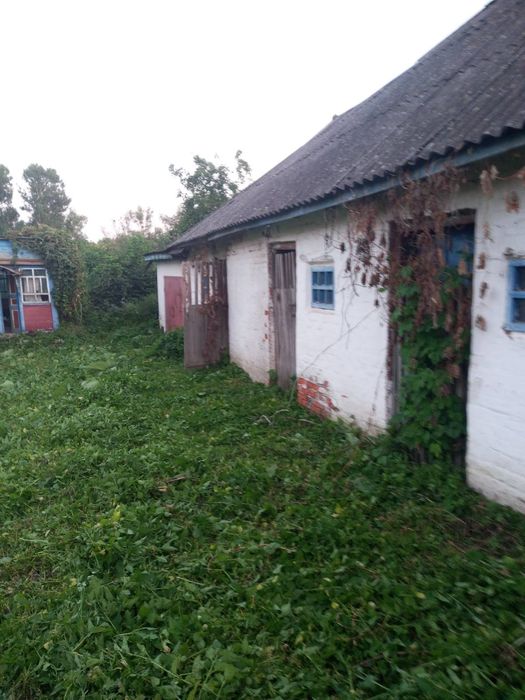 Продам  будинок в с Озеряни