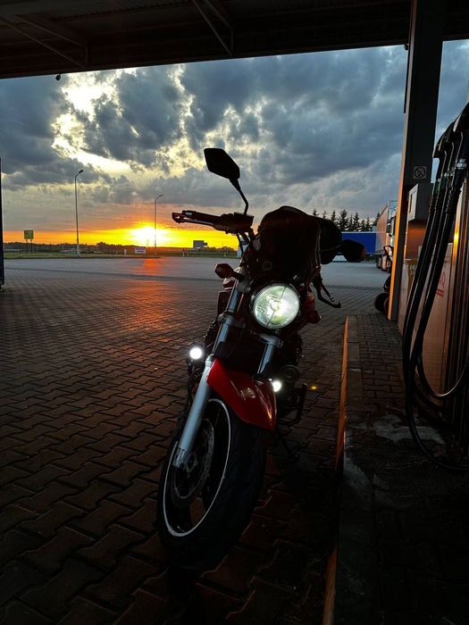 Suzuki Bandit