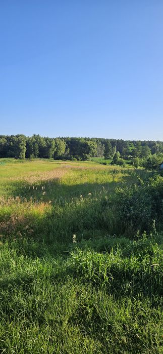 Земельна ділянка в смт. Гаврилівка,  Бучанського р-ну.