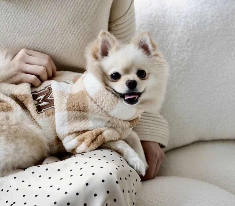 Одяг для собак м