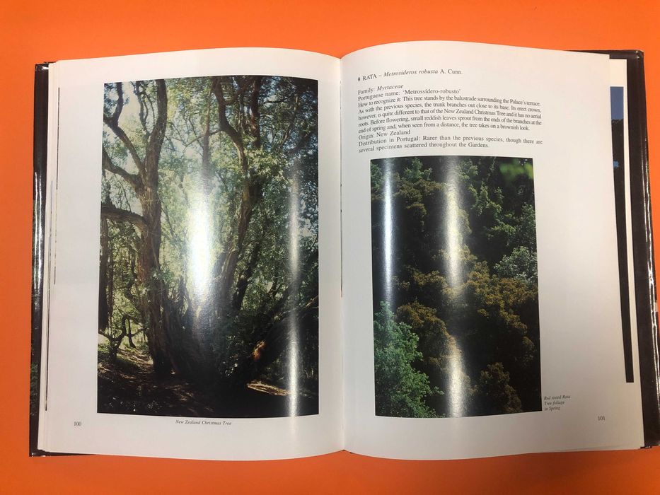 Trees of Monserrate - João Sande de Freitas  Ed. 80 cópias Assinado