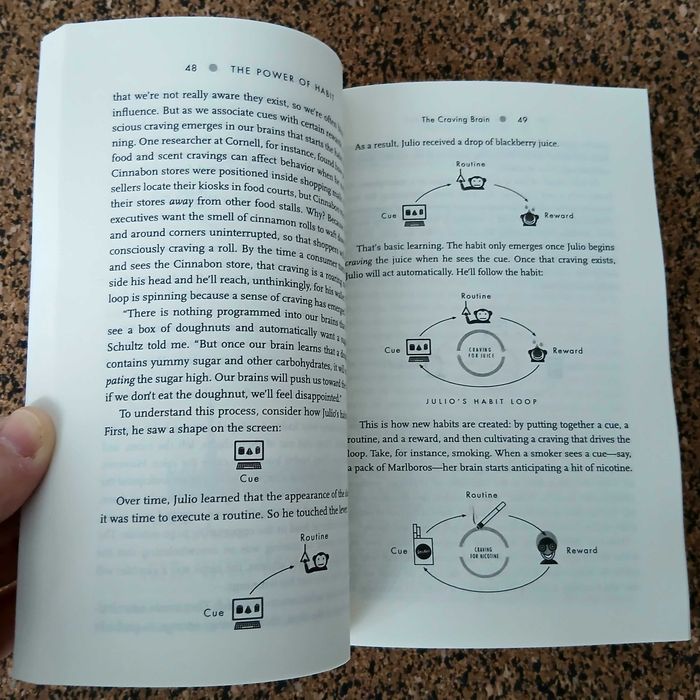 Livro - The Power of Habit (why we do what we do in life and business)
