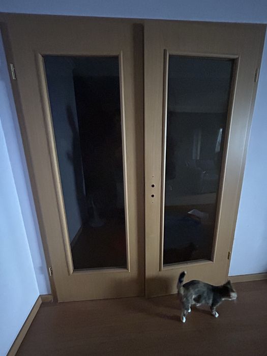 Porta em madeira com vidro