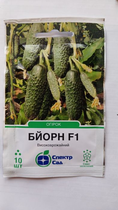 Насіння огірків, самозапильні, партернокарпічні, гібридні, семена огур