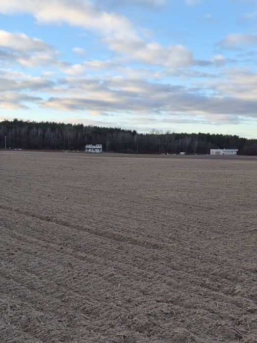 Sprzedam działkę Turzno koło Ciechocinka