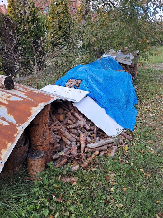 Sosna w klockach na opał ok.8m6