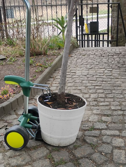 Wózki nowe w kartonach