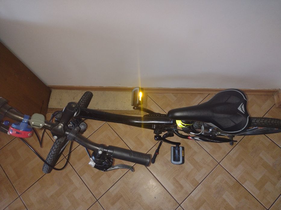 Rower 20" Giant MTX