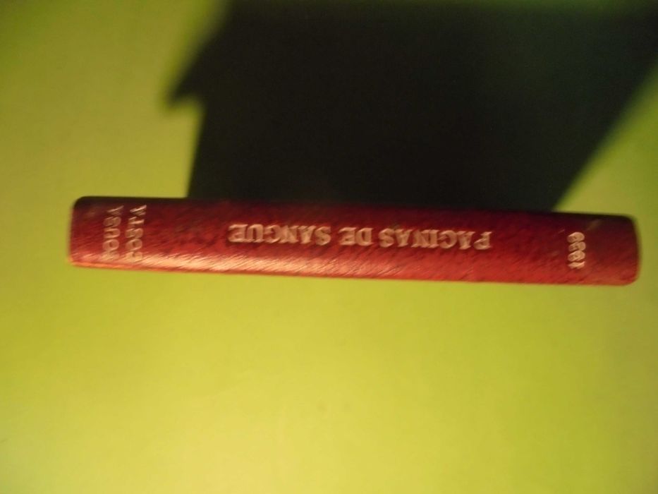 Costa (Sousa);Páginas de Combate-Buiças,Costas & Cª