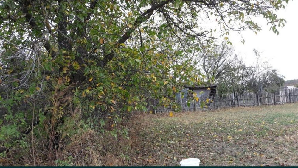 Дом с участком в с.Борозенка Роменского района.