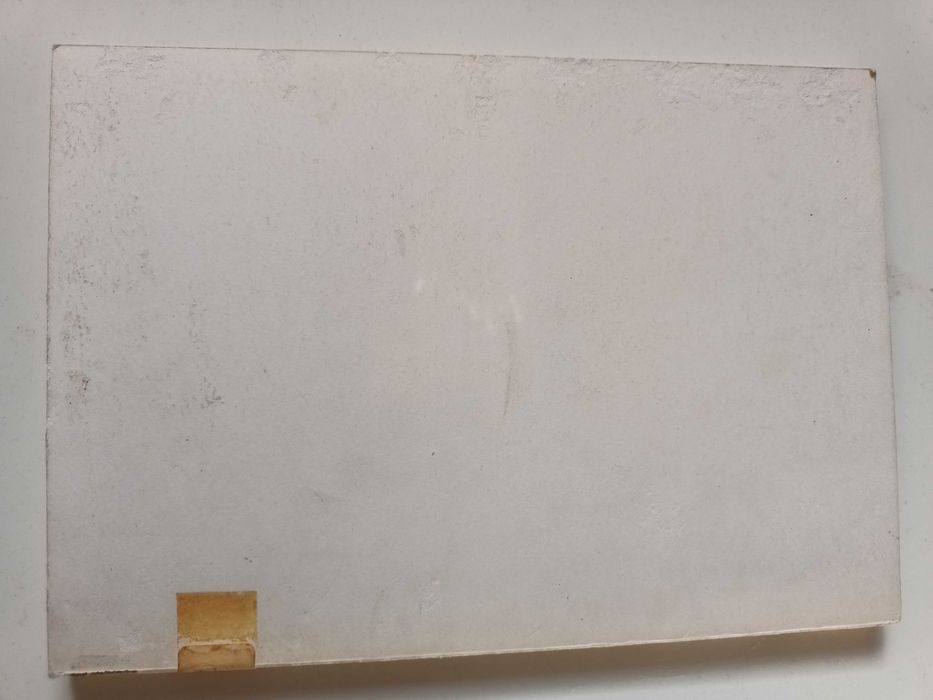 "O Teste da Barragem de Toulouse e Piéron" por J. Rodrigues do Amaral