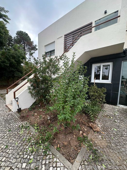 Jardinagem e Construção de Jardins - Oliveden Jardins