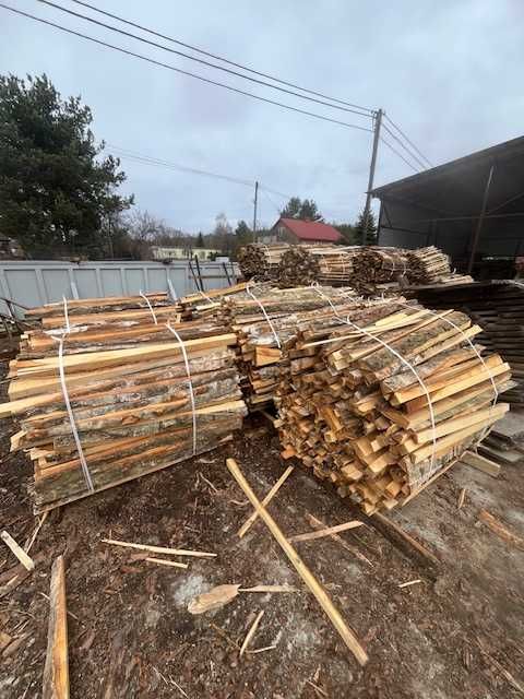 OPAŁ, ZRZYNY ,  dąb, sosna - 100 zł PROMOCJA