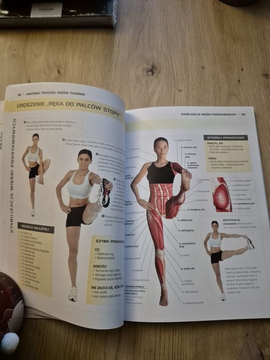 Anatomia treningu mięśni tułowia