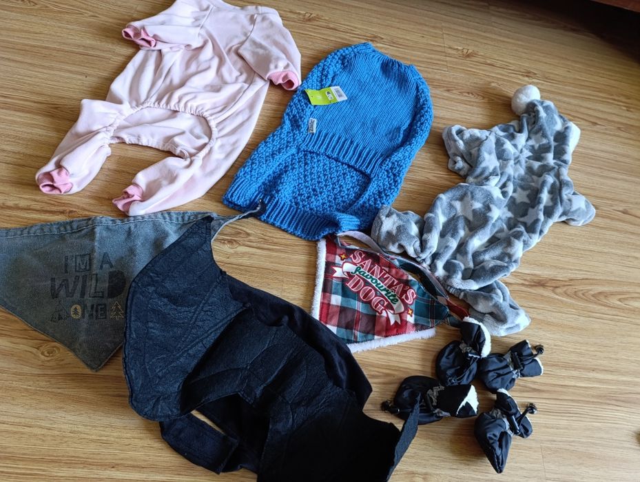 Одяг для собаки, лот