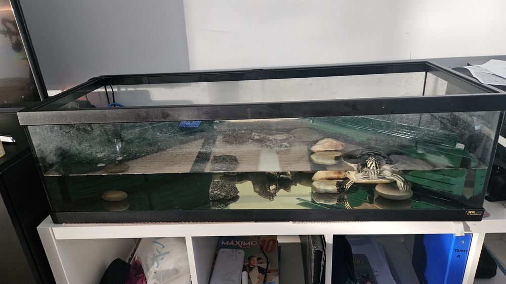 Aquário com tartarugas