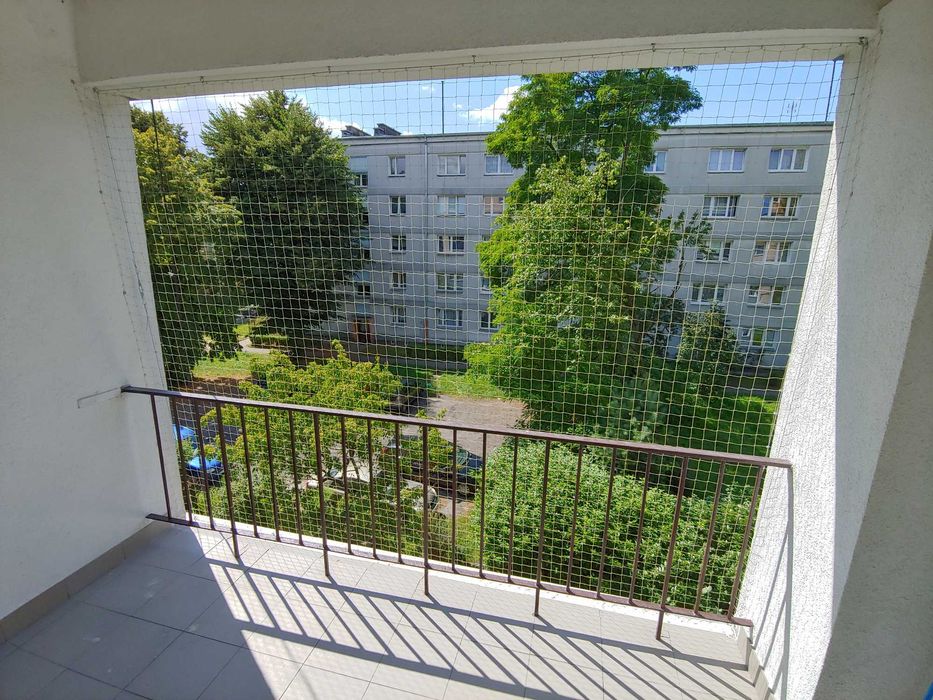 Sprzątanie balkonów montaż siatek ochronnych przeciw gołębiom dla kota