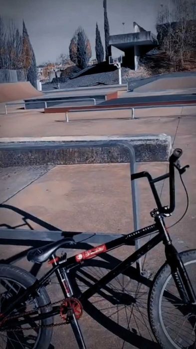 BMX Profissional