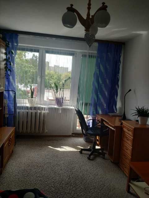 Zdjęcie 3