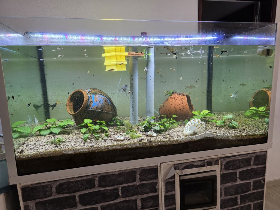 Aquário de 576L+ Movel+sump+ bombas+ termoestatos  etc....