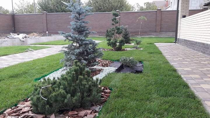 Аэрация, вычесывание.Озеленение. Укладка рулонного газона. Ландшафт.