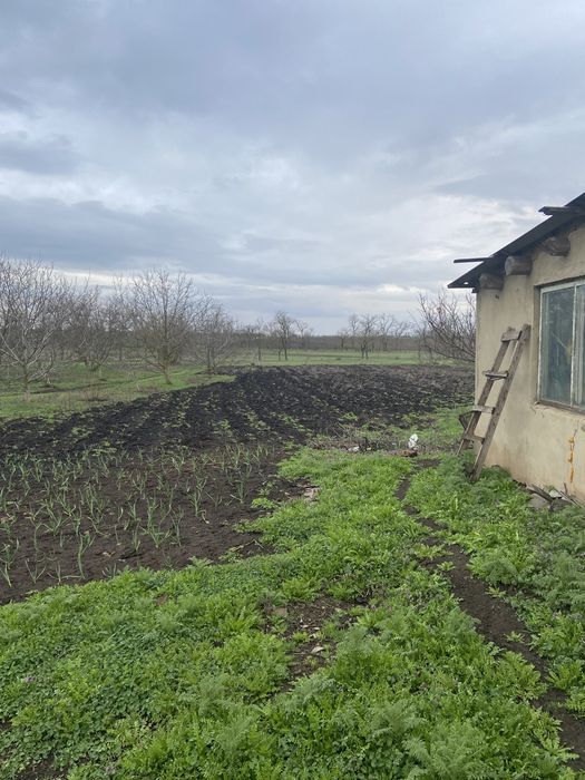 Продам дом с.Покровка - Новый Мир , Разделянский район Одесская обл