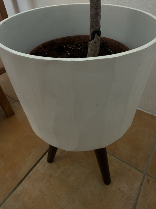 Vaso caspaux branco