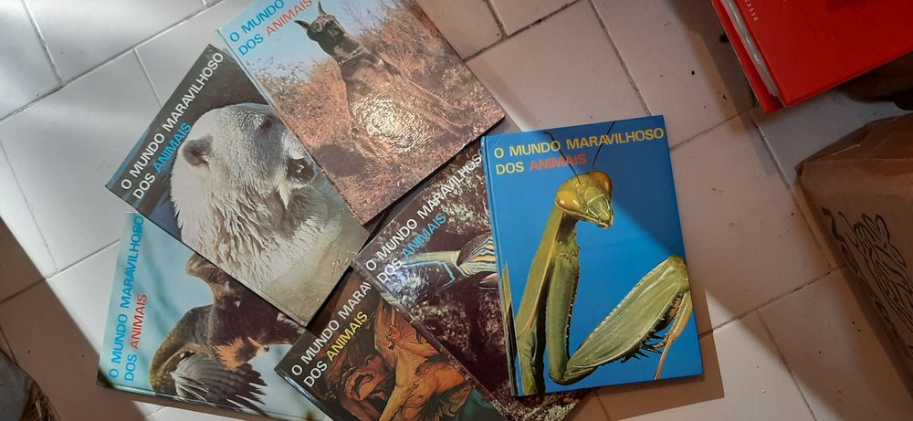 Coleção de 6 livros