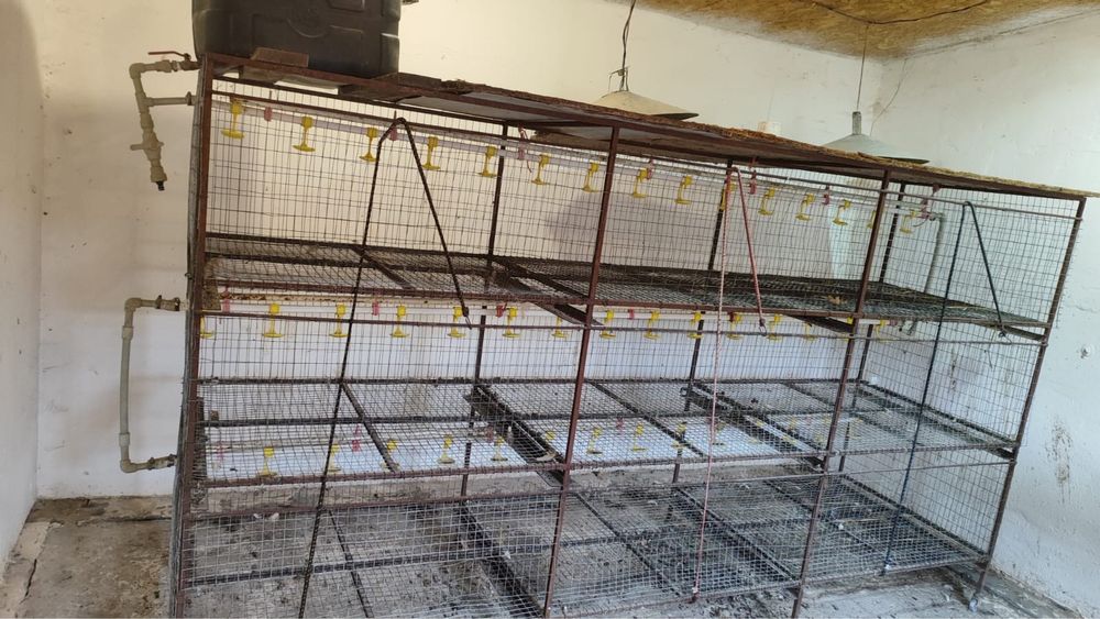 Клетка для птиці ( бройлер )