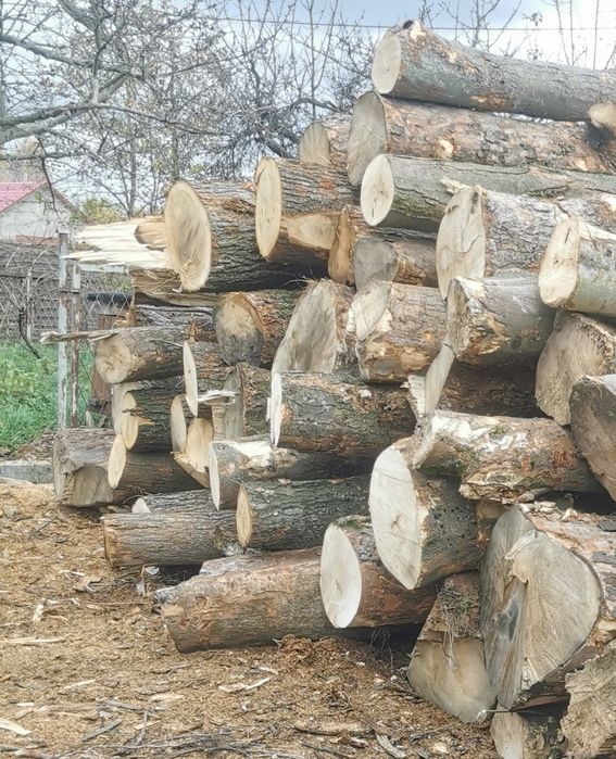 Drewno Kominkowe i Opałowe