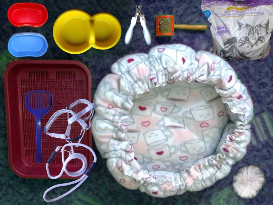 Наповнювач бентоніт 2,5 кг, речі для догляду котів, ціна за все разом