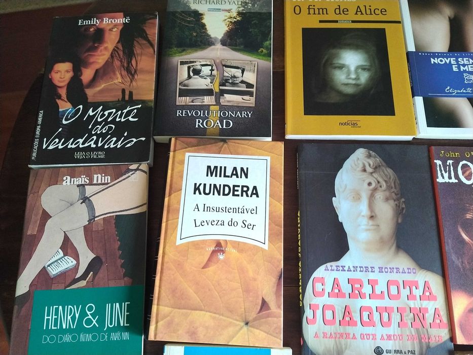 Livros de diversos tipos de literatura