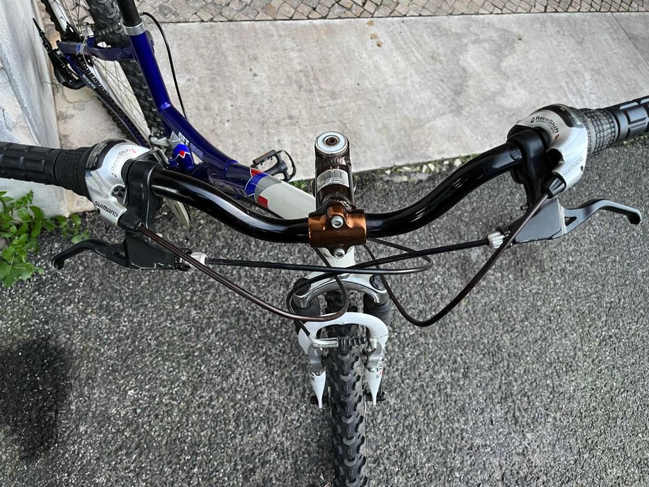 Bicicleta Team Azul e Branca