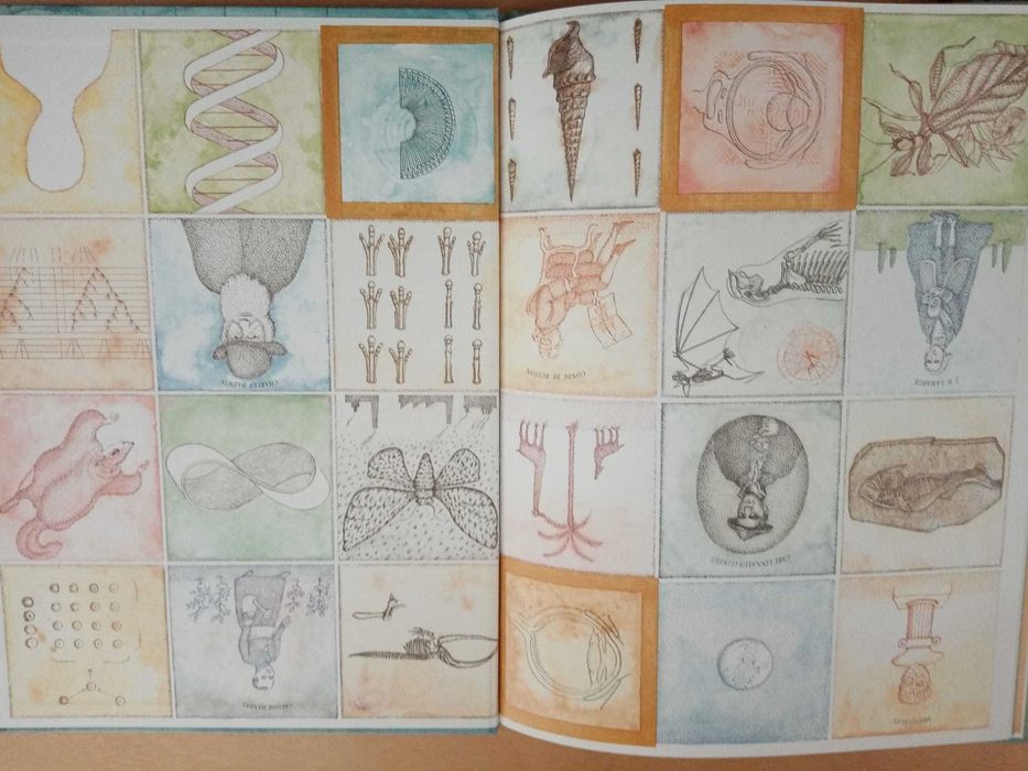 Árvore da Vida - História ilustrada de Charles Darwin