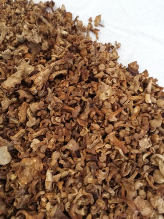 Suszone grzyby kurki