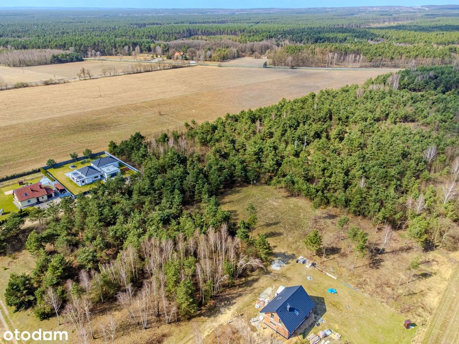 Na sprzedaż działka budowlana 1604 m², MPZP, Ostrowina, gm. Oleśnica