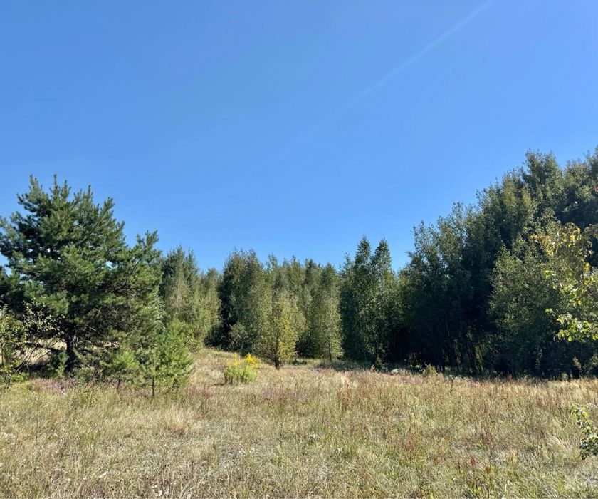 Колонщина! Земельний масив 7 Га!