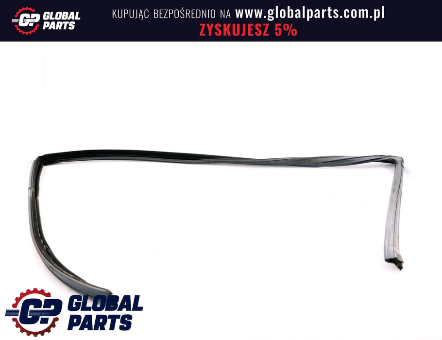 BMW E53 X5 Uszczelka szyby drzwi prawy przód