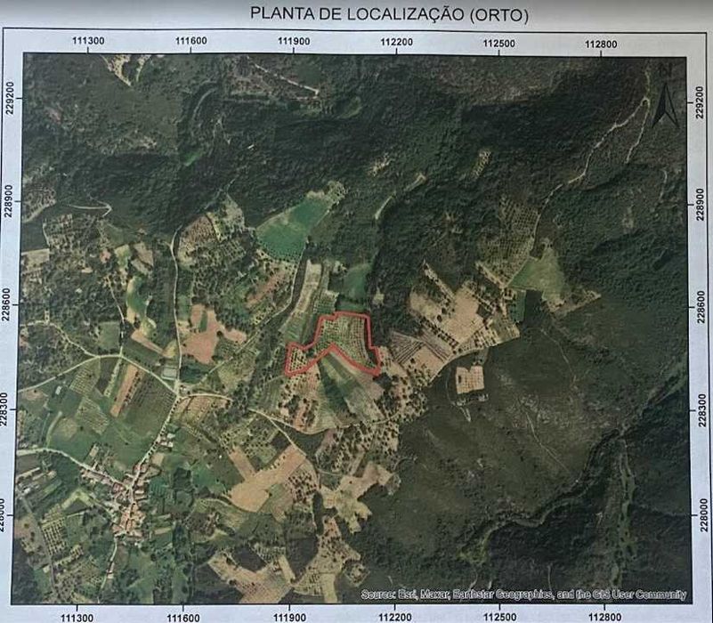 Terreno 3 ha com castanheiros e água à venda em Mós (Bragança)