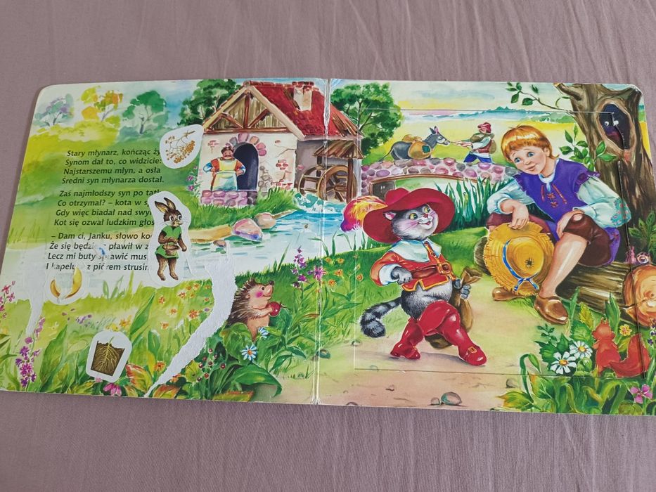 Kot w butach książeczka